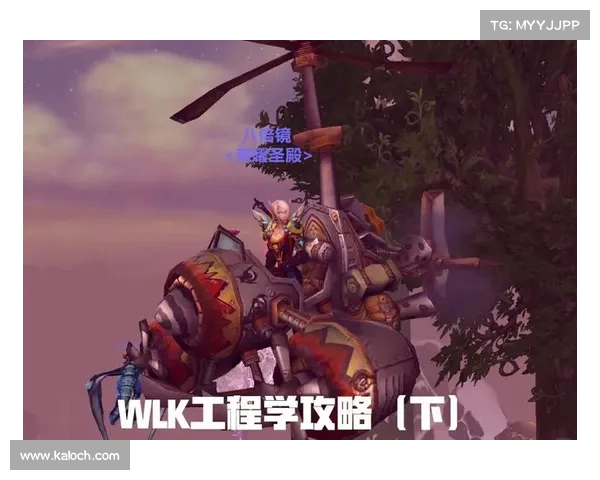 魔兽世界双开操作视频大揭秘